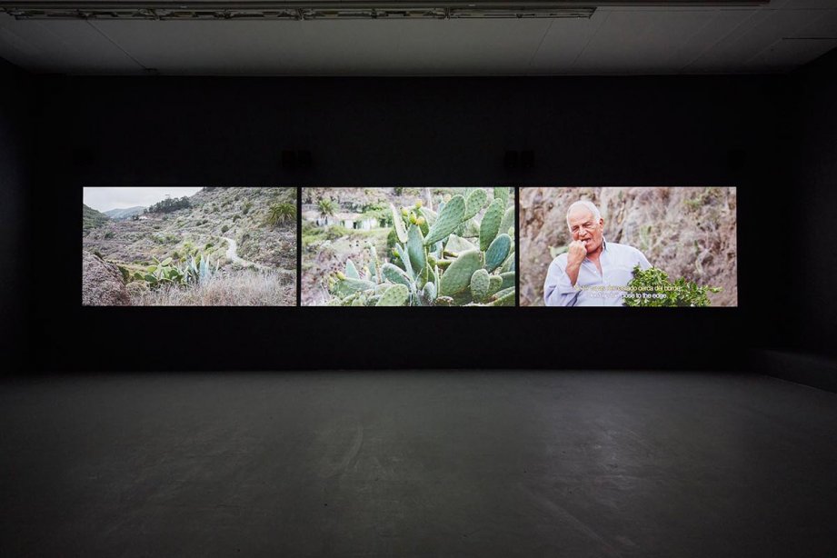 Installation View, The Calling, 2013-2014, basis 2017, Foto: Günther Dächert, Courtesy of the artist and Anna Schwartz Gallery, Melbourne; and Galerie Allen, Paris