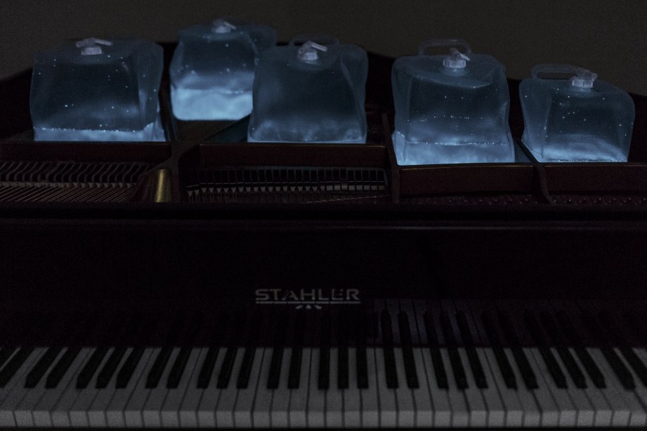 Andreas Greiner, From Strings To Dinosaurs, 2015, sound inducing bioluminescent light